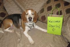 Charlie_and_Family1