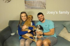 Joey_and_Family