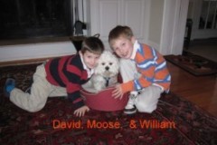 Moose_family_1